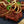 Load image into Gallery viewer, 1LB - Wagyu Carne Asada