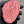 Load image into Gallery viewer, Miyazaki A5 Japanese Wagyu Filet
