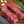 Load image into Gallery viewer, Wagyu Denver Cut BMS 4-5.